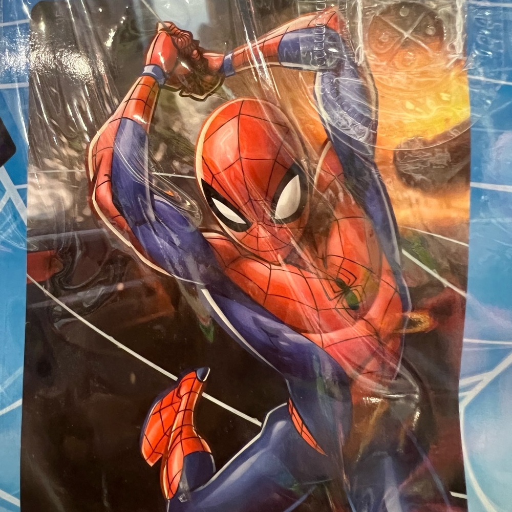 SPIDERMAN Raschel Twin Size Blanket‎